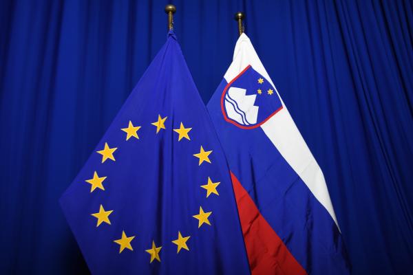EU Member States flags alongside the European flag